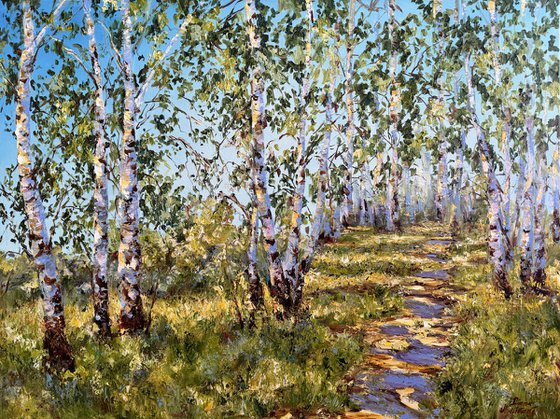 Morning in the Birch Forest