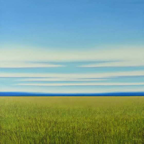 Verdant Field - Green Field Blue Sky Landscape