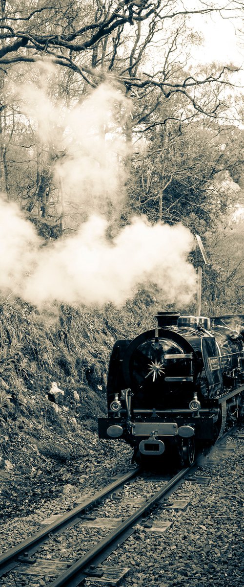 Whillan Beck Engine 1929 - Ravenglass Steam Railway by Stephen Hodgetts Photography