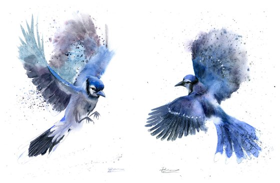Blue Jay in Flight - Diptych
