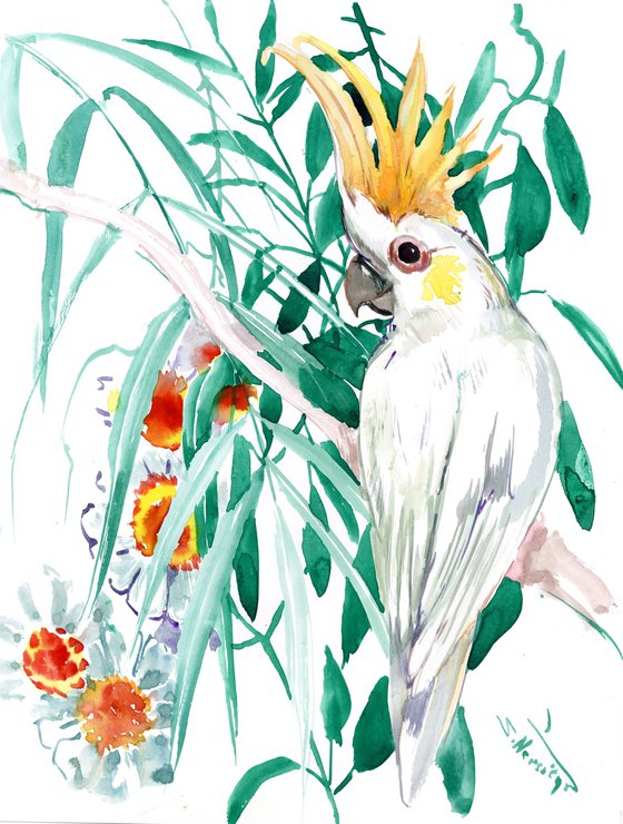 Sulphur-crested Cockatoo, Watercolor Parrot Painting