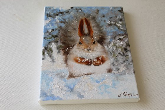 Red Squirrel in Snow