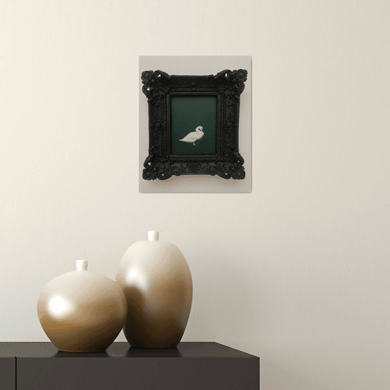 Little swan in frame