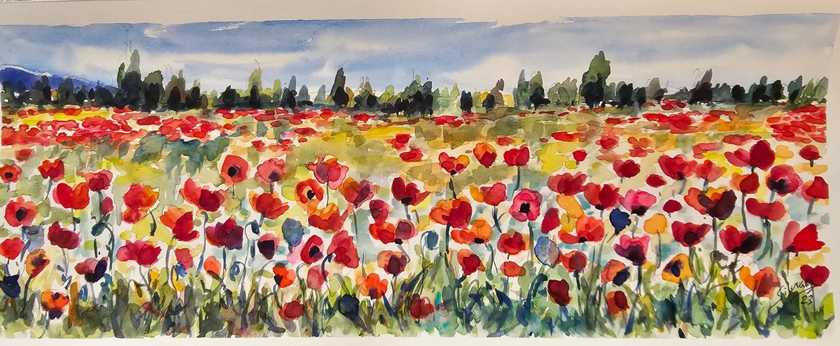 Multi coloured poppies by Silvia Flores Vitiello