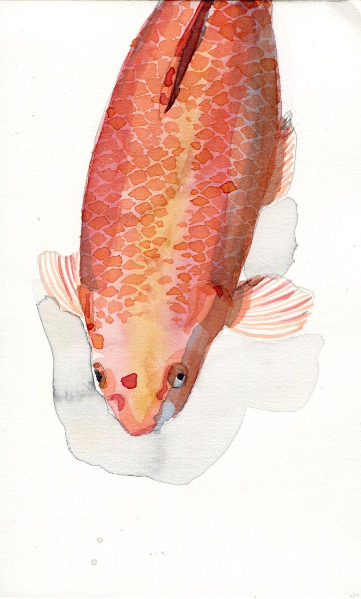 Golden Fish by Hannah Clark