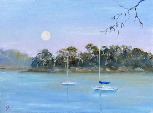Sydney harbour with full moon by Shelly Du