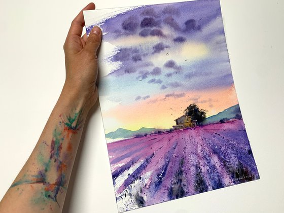 lavender field #3