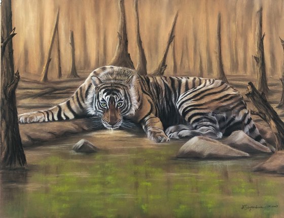 Living Water (Sumatran Tiger)