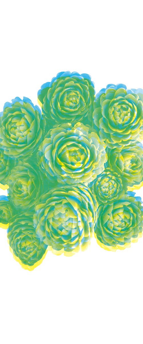 Artichoke that looks like a flower by Carla Piacenza