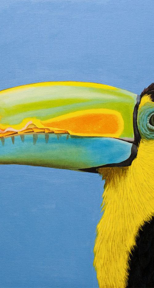 Big Beak by Dietrich Moravec