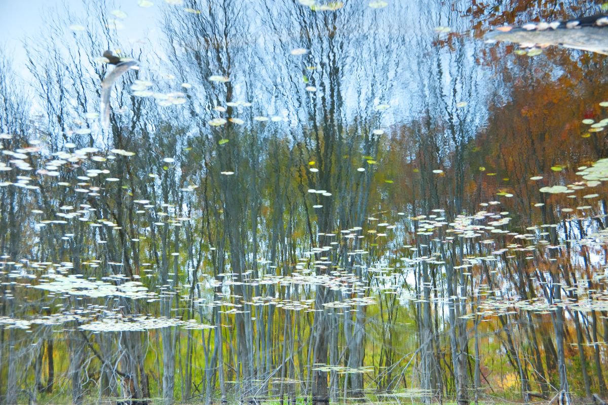 Photorealistic Photograph , Reflection 5 By Michael Filonow, 32 X 22, Artwork For Sale On Artfinder