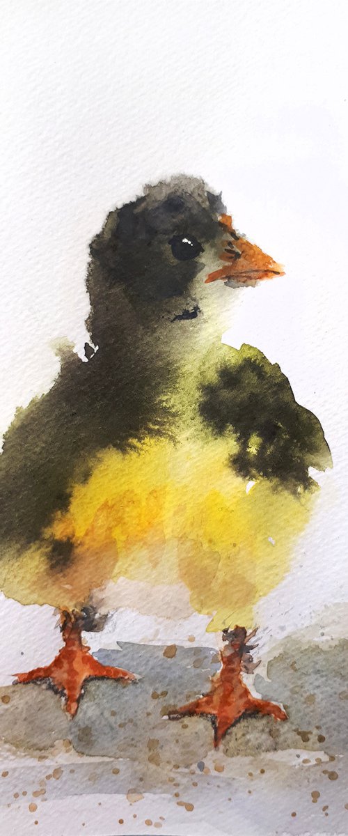 Chick 1... From the Animal Portraits series /  ORIGINAL PAINTING by Salana Art Gallery