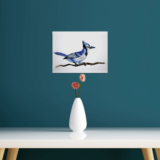 Blue Jay Bird ORIGINAL Watercolor Painting
