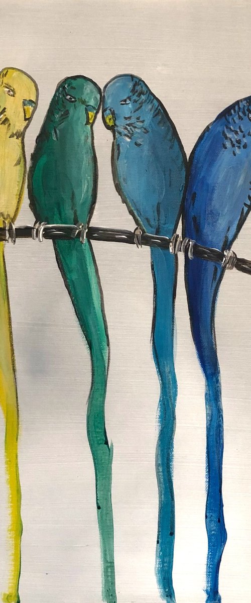 Colourful Birds by Aisha Haider