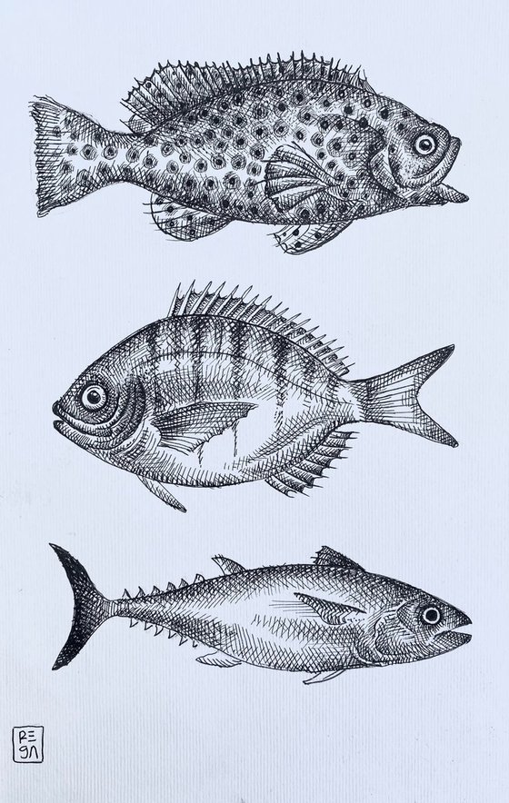 fish species