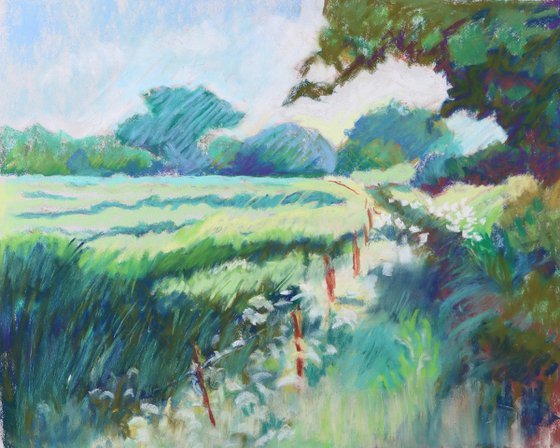 Country Lane in Spring