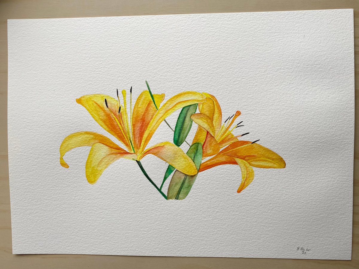 Lilies watercolour original painting by Bethany Taylor