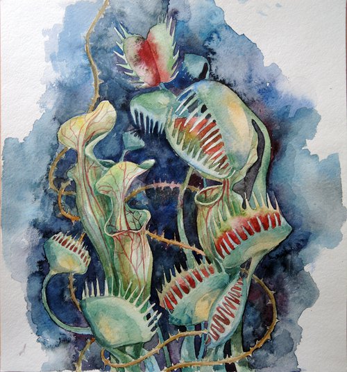 Watercolor sketch with predatory plants . by Albina Bunina