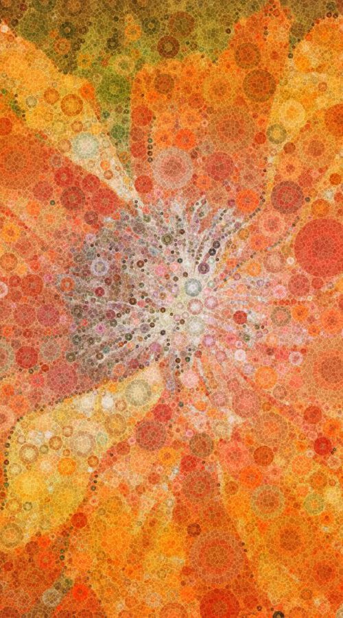 Flame Poppy, Percolated by Barbara Storey