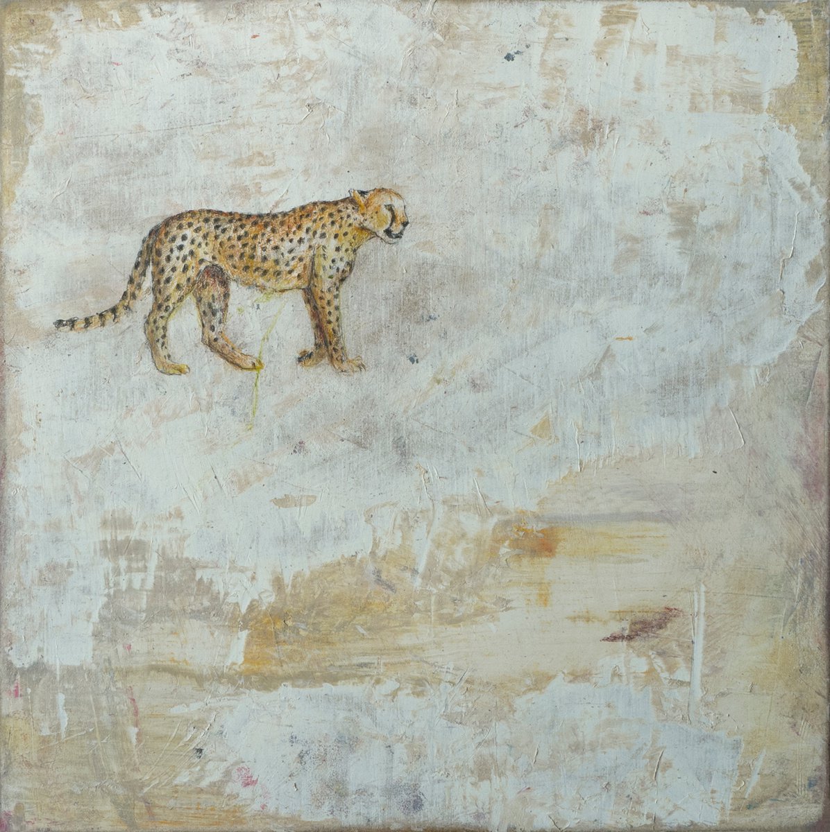 A Cheetah by Lisa Braun