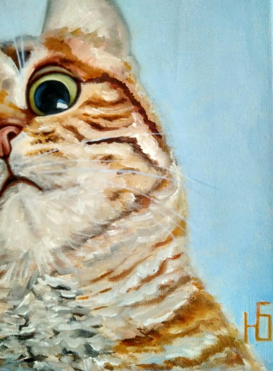 Funny cat, 40x40 cm, ready to hang.