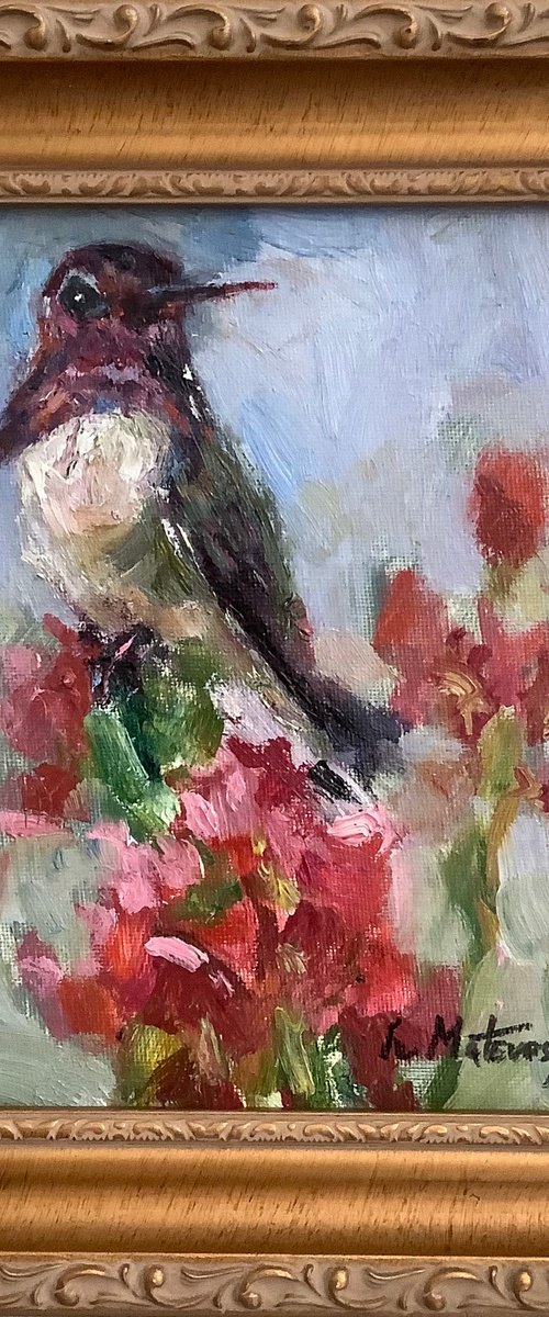 Hummingbird by Lia Matevosyan Haselton