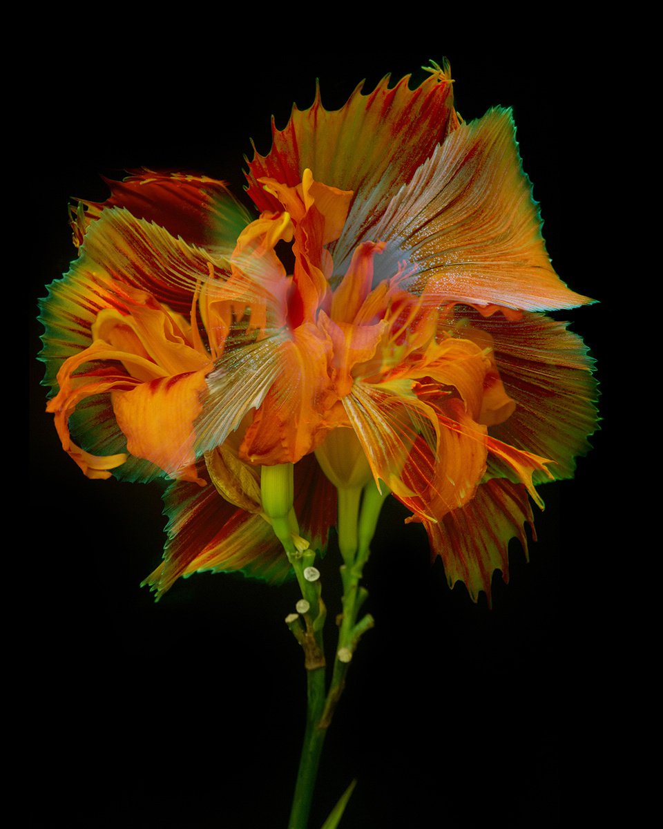 Surrealistic Photograph , Kaleidoscope 22 By Michael Filonow, 26 X 32, Artwork For Sale On Artfinder