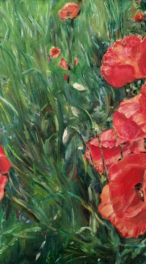 Red Poppies In The Meadow by Jura Kuba Art