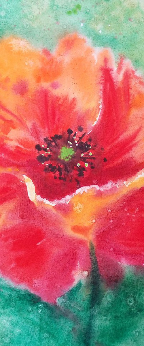 Soul of Poppy by Olga Beliaeva Watercolour