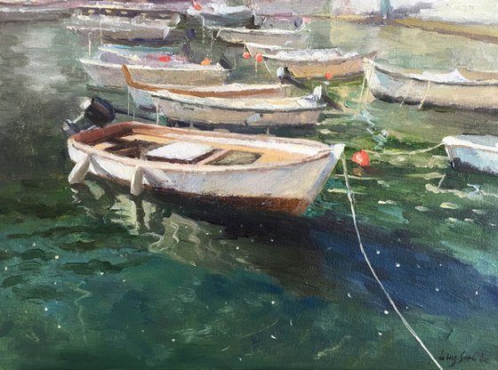 Boats in Portofino