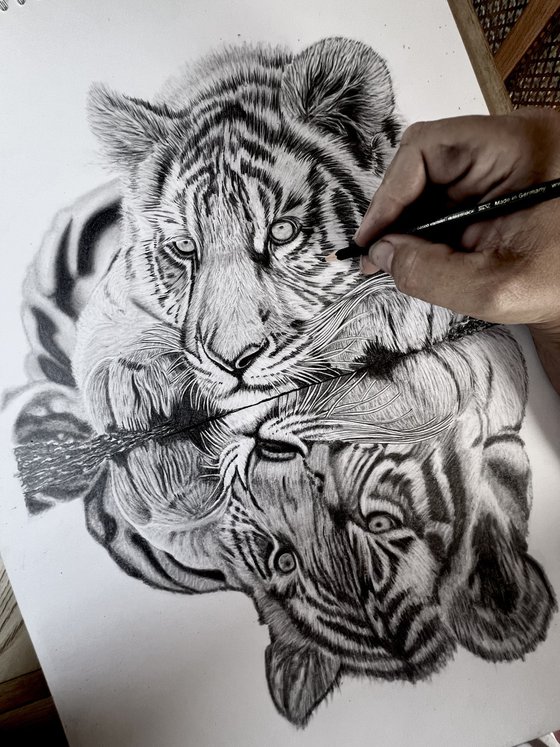 Tiger Cub Reflection