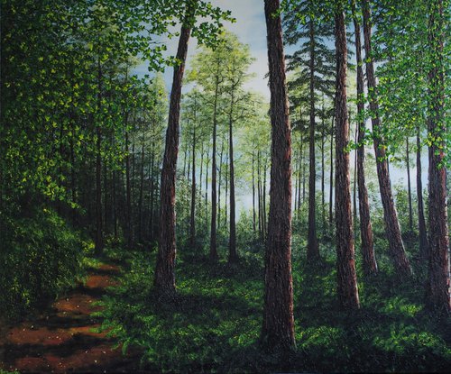 Deep Into Delamere Forest by Hazel Thomson