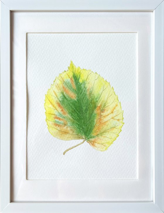 Autumn leaf Sketch #2