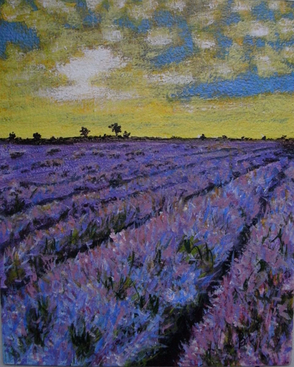 Lavender Field by Brazao