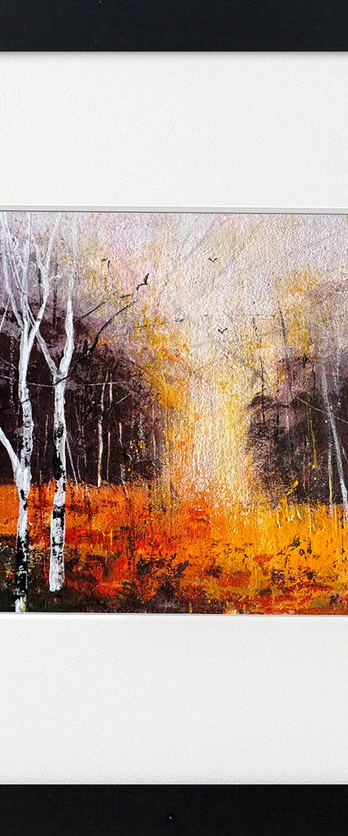 Autumn Days, Silver Birches by Teresa Tanner