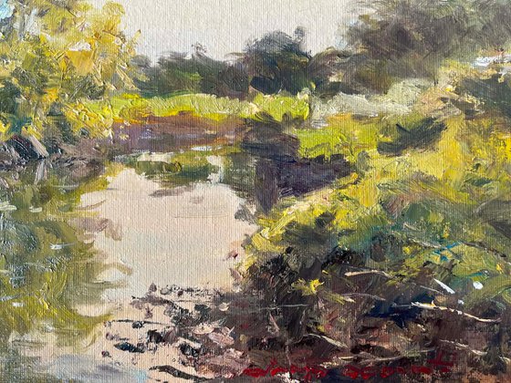 “The Gentle Embrace of Soft Light”