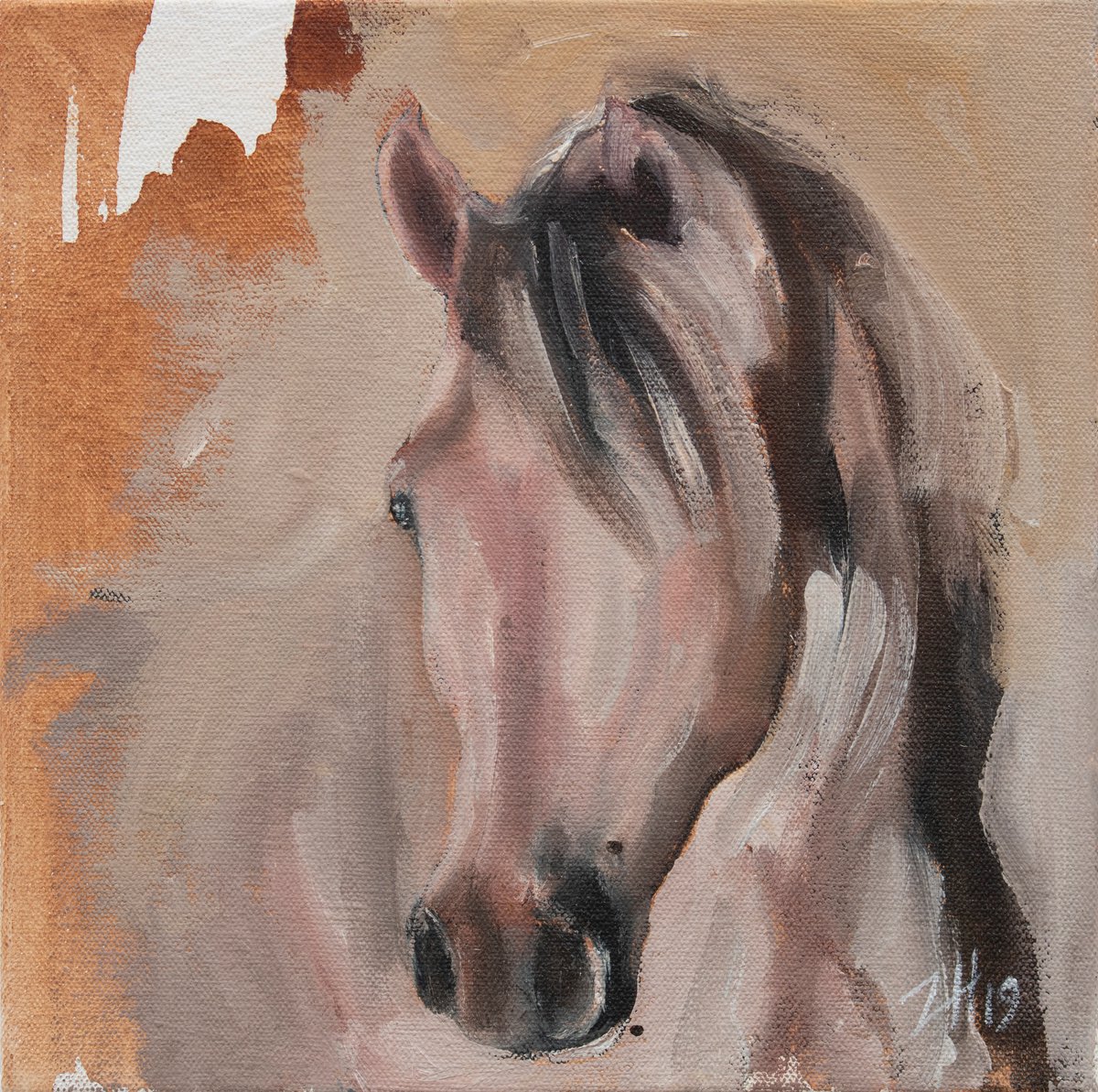 Equine Head Arab White (study 30) by Zil Hoque