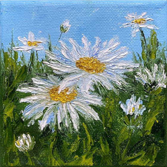 Small daisies