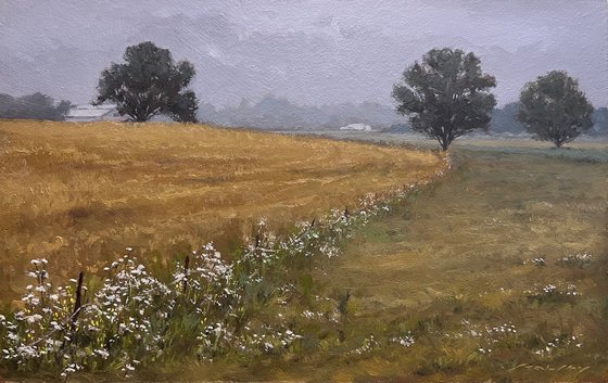 Wheat Fields and Wild Carrot