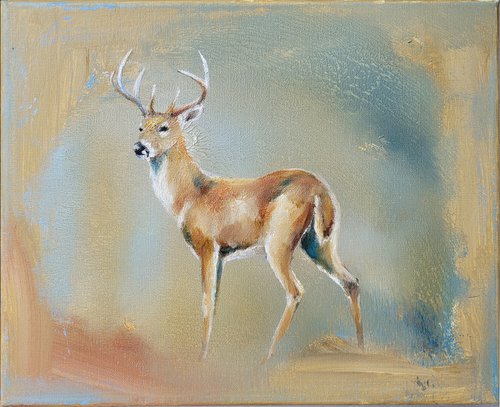 Deer In Soft Colours by Lisa Braun