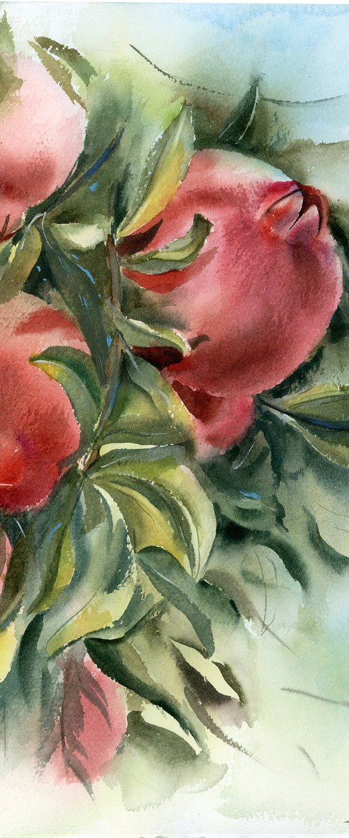 Pomegranate Branch by Olga Tchefranov (Shefranov)