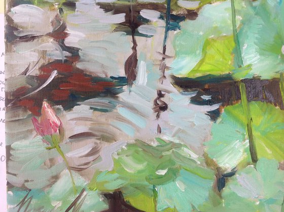 Rainy waterlily. water lilies pond oil painting landscape river sunlight waterlily