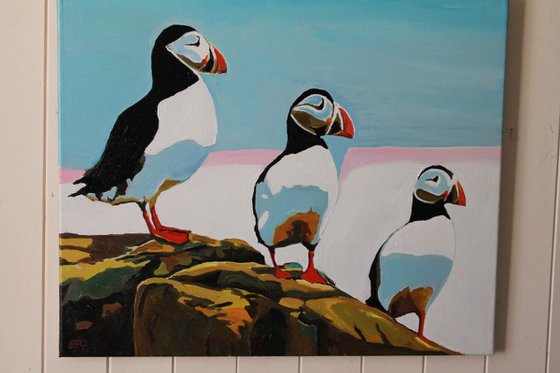 The Three Puffins