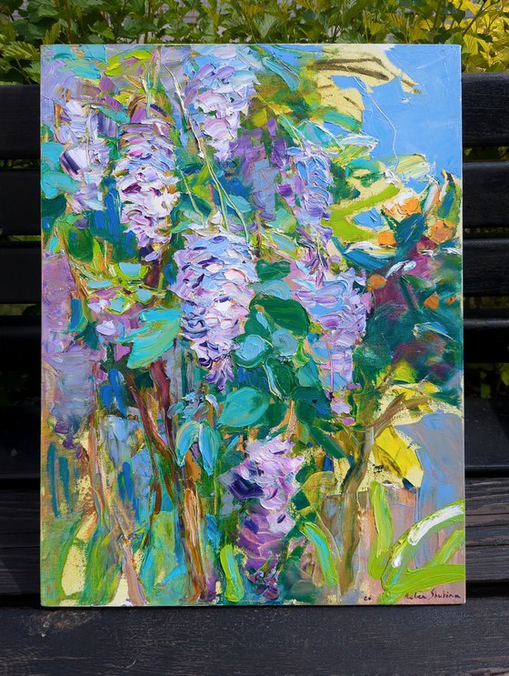 Wisteria