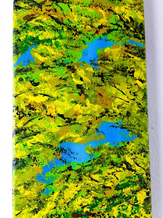 Colorful autumn 1