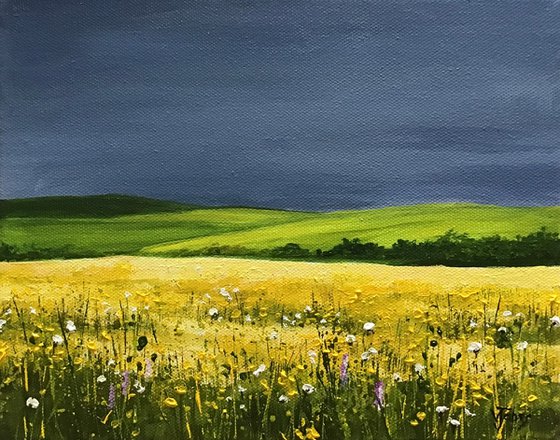 Meadow Flowers