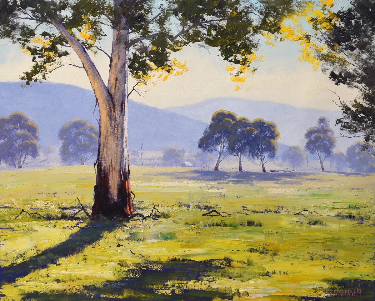 Early morning  Eucalyptus tree Sofala by Graham Gercken