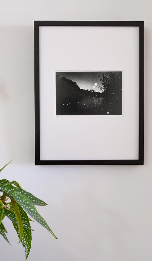 Fireflies | Handmade Print by Francesco Mussida