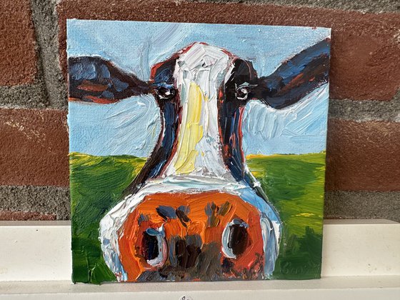 Funny cow portrait