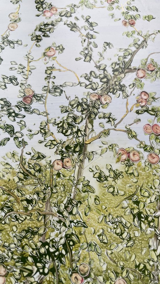 View from the window of an apple orchard.